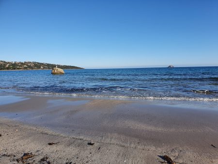 La plage de Pinarello