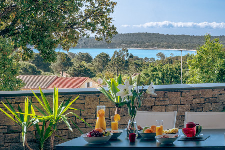 La vue de la terrasse
